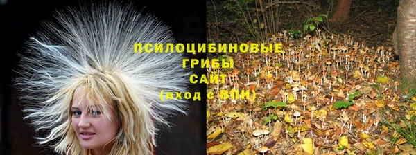 каннабис Сосновоборск